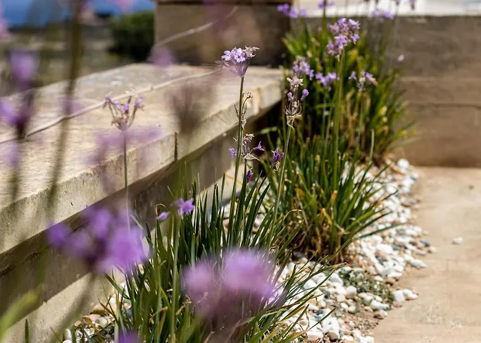 Apartman Rooftop Hideaway, Jacuzzi, Bbq & Petss