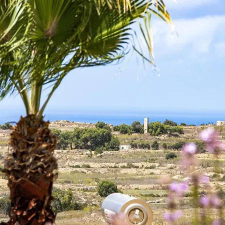 Lägenhet Rooftop Hideaway, Jacuzzi, Bbq & Petss *