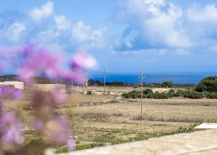 公寓 Rooftop Hideaway, Jacuzzi, Bbq & Petss Għarb